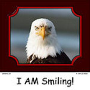 Meet your Posher, Maggie